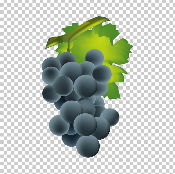 Common Grape Vine Wine Euclidean PNG, Clipart, Barrel, Black Grapes, Common Grape Vine, Drawing, Euclidean Vector Free PNG Download