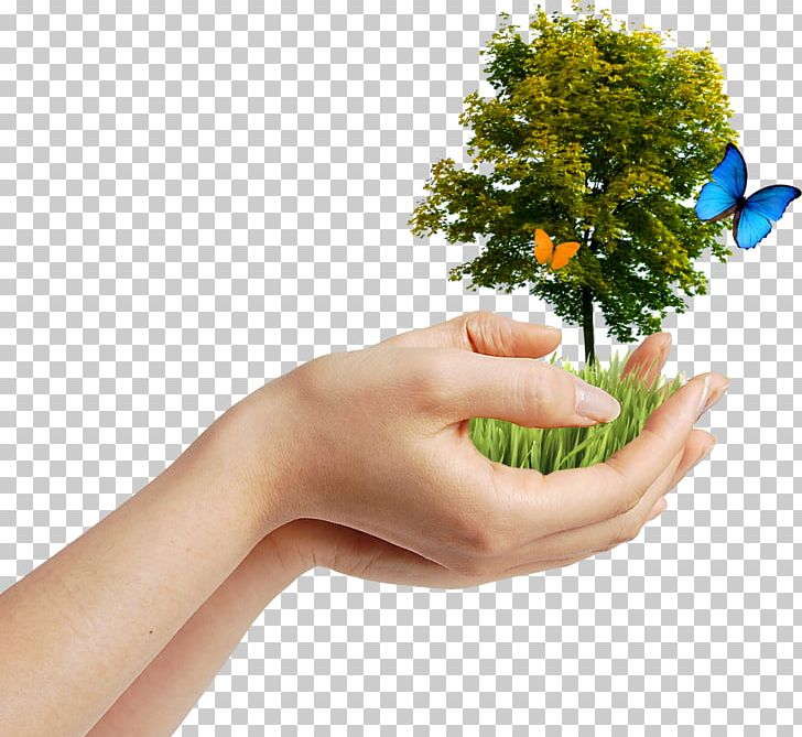 Environmentalism Natural Environment Earth Day Environmental Protection PNG, Clipart, April 22, Autumn Tree, Awareness, Butterfly, Christmas Tree Free PNG Download