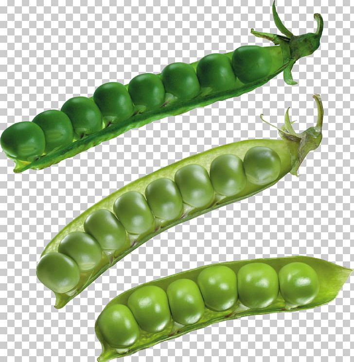 Pea Soup Split Pea Pulseless Electrical Activity Vegetable PNG, Clipart, Bean, Broad Bean, Commodity, Common Bean, Computer Icons Free PNG Download