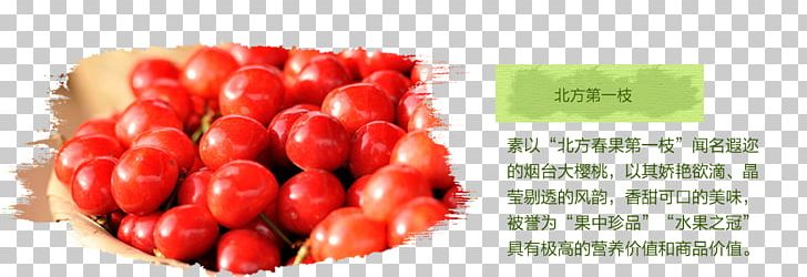 Tomato Cherry Fruit Computer File PNG, Clipart, Auglis, Berry, Cherries, Cherry, Cherry Blossom Free PNG Download