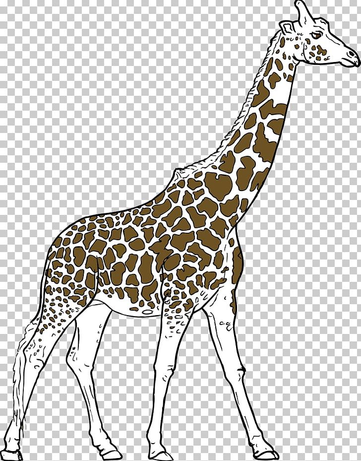 Youre Avin A Giraffe Drawing PNG, Clipart, Animal, Animals, Art, Black And White, Cartoon Giraffe Free PNG Download