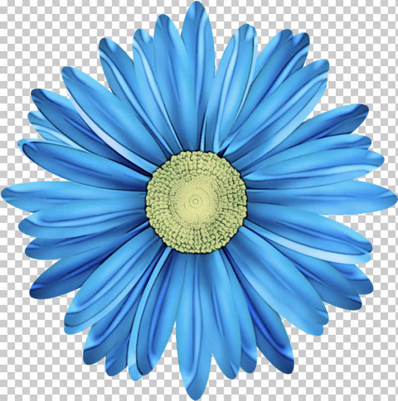 Daisy PNG, Clipart, Aster, Barberton Daisy, Blue, Daisy, Daisy Family Free PNG Download