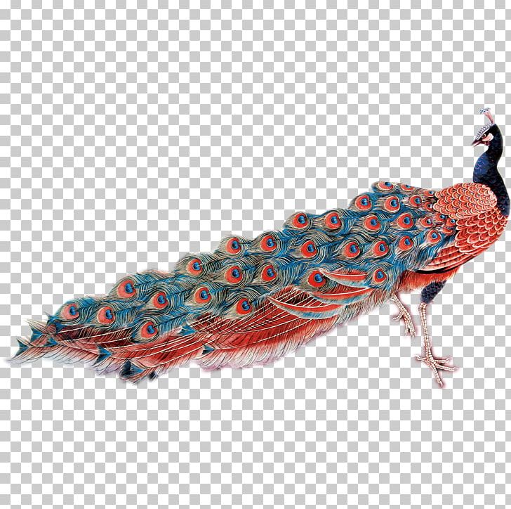 Feather Peafowl PNG, Clipart, Adobe Illustrator, Animal, Animals, Beak, Bird Free PNG Download