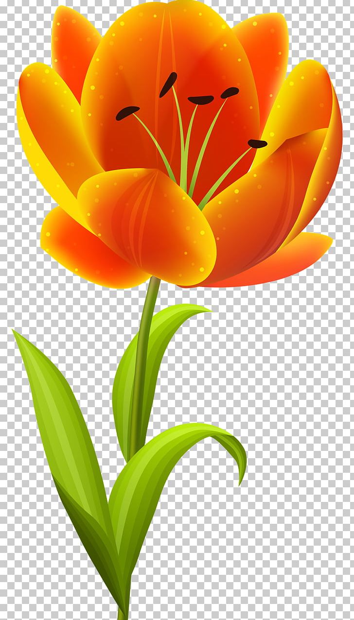 Flower Tulip PNG, Clipart, Clip Art, Computer Wallpaper, Cut Flowers, Floral Design, Flower Free PNG Download