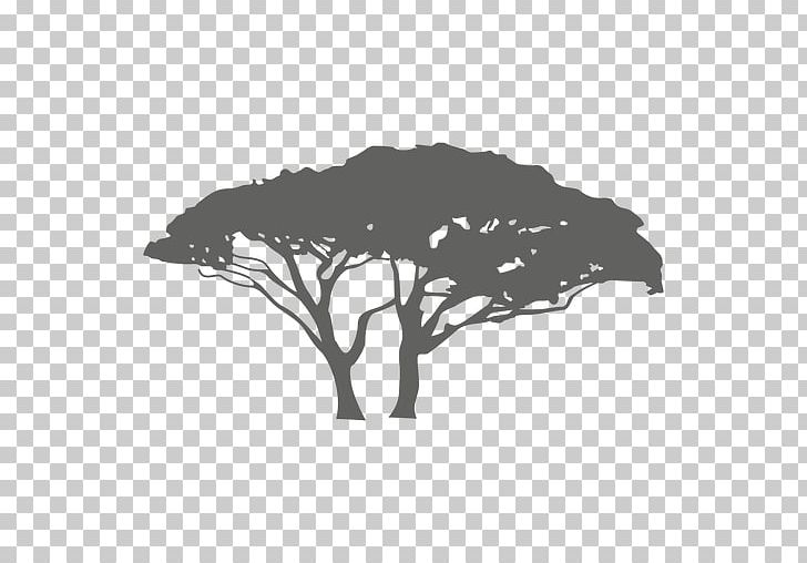 Silhouette Branch Graphic Design PNG, Clipart, Animals, Black, Black And White, Branch, Computer Wallpaper Free PNG Download