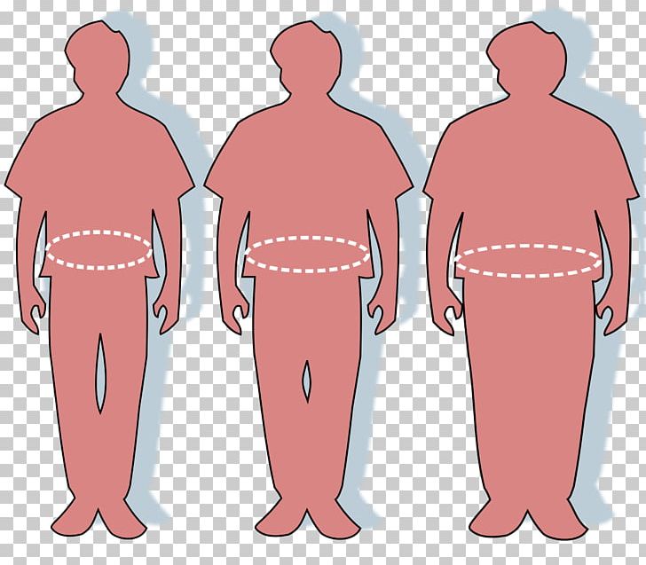 Waist Abdominal Obesity Circumference Adipose Tissue PNG, Clipart, Abdomen, Abdominal Cavity, Abdominal Obesity, Arm, Cardiovascular Disease Free PNG Download