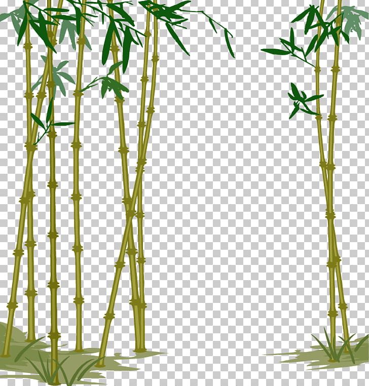 Bamboe Bamboo Computer File PNG, Clipart, Bamboo Forest, Branch, Encapsulated Postscript, Euclidean Vector, Flora Free PNG Download