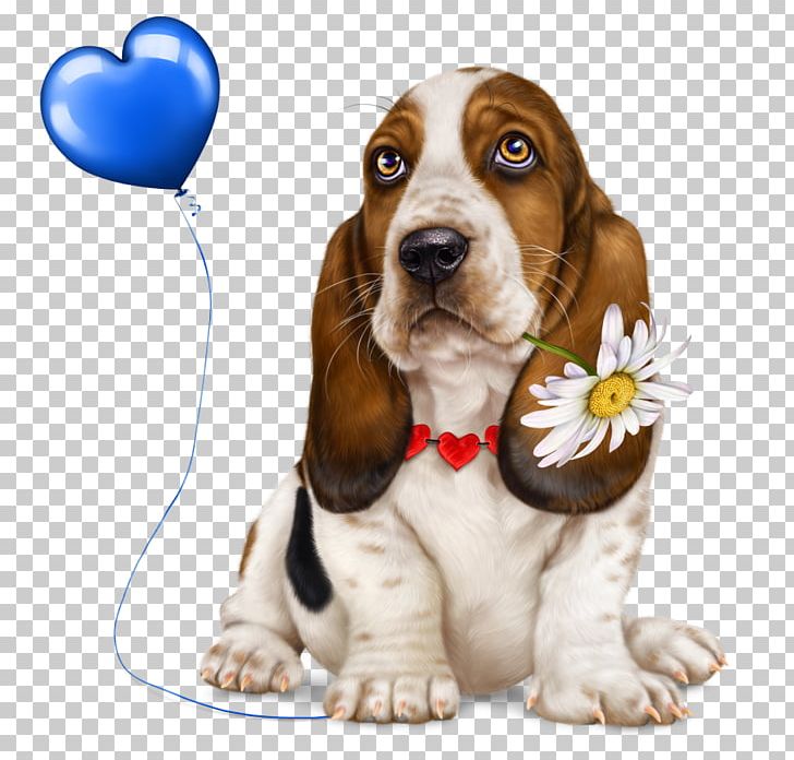 Basset Hound Puppy Basset Artésien Normand Dog Breed Beagle PNG, Clipart, American Kennel Club, Animals, Basset, Basset Artesien Normand, Basset Hound Free PNG Download
