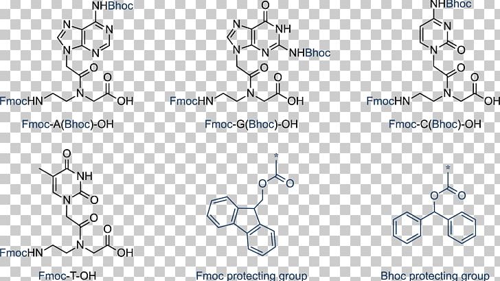 Peptide Nucleic Acid Monomer Chemistry PNG, Clipart, Acid, Amino Acid, Angle, Area, Biology Free PNG Download