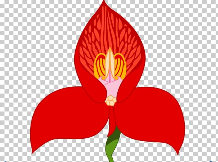 Western Province South Africa National Rugby Union Team Blue Bulls Golden Lions Newlands Stadium PNG, Clipart, Blue , Currie Cup, Flora, Flower, Flowering Plant Free PNG Download