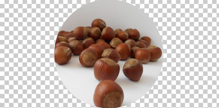 Hazelnut Common Hazel Fruit Food PNG, Clipart, Auglis, Candlenut, Chocolate, Common Hazel, Eating Free PNG Download