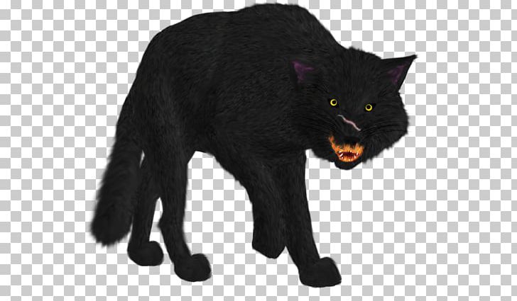 Whiskers Cat Fur Snout Puma PNG, Clipart, Animal Figure, Big Cats, Black, Black Cat, Black M Free PNG Download