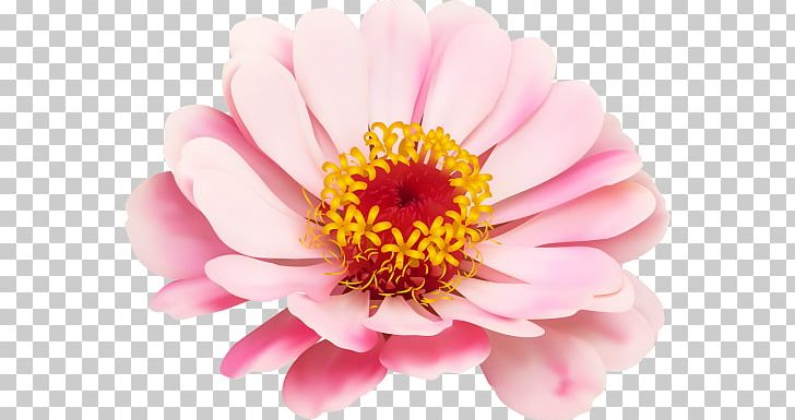 Drawing PNG, Clipart, Annual Plant, Art, Blossom, Chrysanths, Closeup Free PNG Download