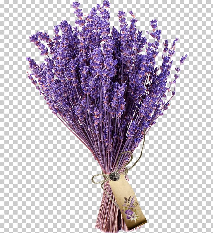 English Lavender Flower Bouquet French Lavender PNG, Clipart, Artificial Flower, Bouquet, Cut Flowers, Eclat, English Lavender Free PNG Download