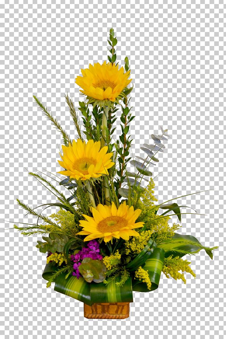 Floral Design Warringah Florist Cut Flowers Flower Bouquet Transvaal Daisy PNG, Clipart, Cut Flowers, Daisy Family, Dandelion, Floral Design, Florist Free PNG Download