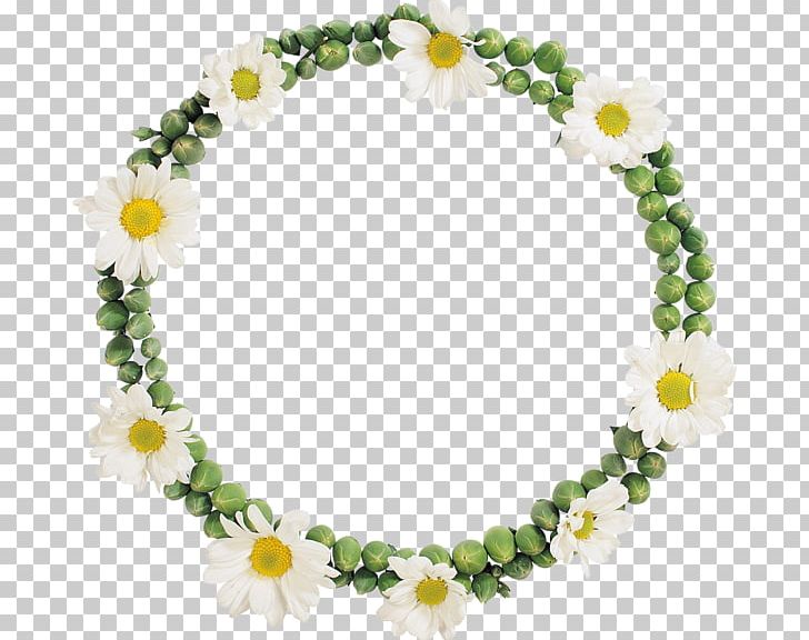 Flower Frames PNG, Clipart, Camomile, Computer Icons, Cuadro, Disk, Encapsulated Postscript Free PNG Download