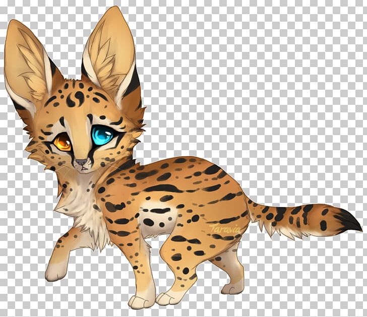 Savannah Cat Lion Cheetah Leopard Wildcat PNG, Clipart, Animal, Animal Figure, Animals, Art, Big Cats Free PNG Download