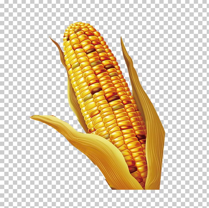 Thanksgiving Day Holiday Harvest Festival PNG, Clipart, Bumper, Cartoon Corn, Commodity, Computer, Corn Free PNG Download