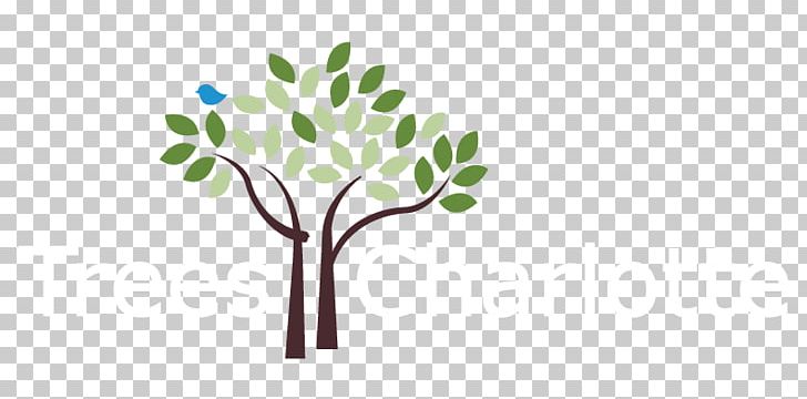 Tree Planting Organization Canopy Non-profit Organisation PNG, Clipart, Arborist, Branch, Canopy, Charlotte, Charlotte Nc Free PNG Download