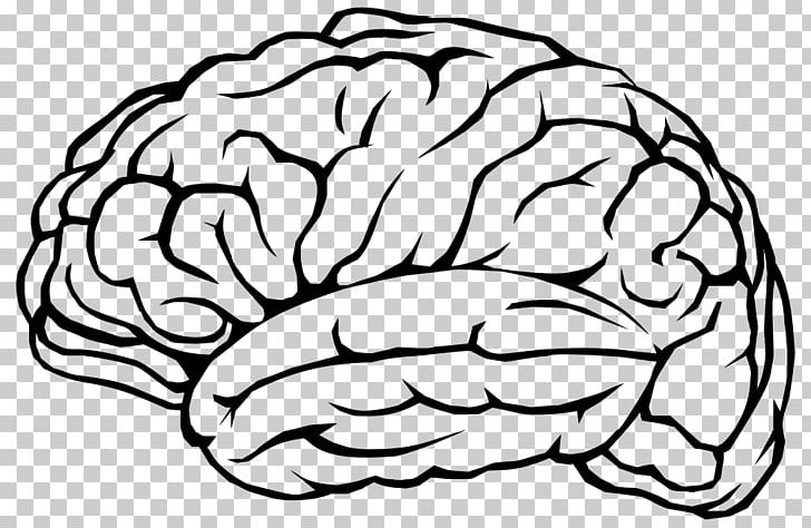 20 Things To Know About Deep Brain Stimulation Human Brain Skull PNG, Clipart, Black And White, Brain, Cognitive Training, Drawing, Hand Free PNG Download