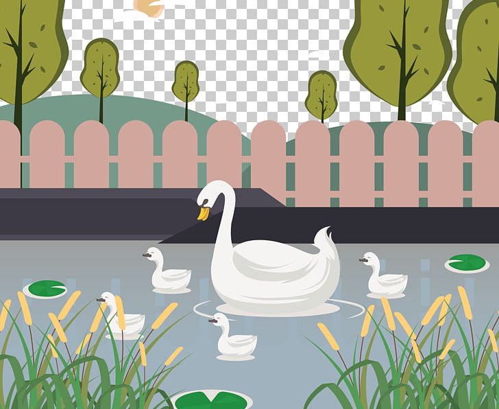 Duck Cygnini Illustration PNG, Clipart, Animal, Animals, Bab, Babies, Baby Free PNG Download