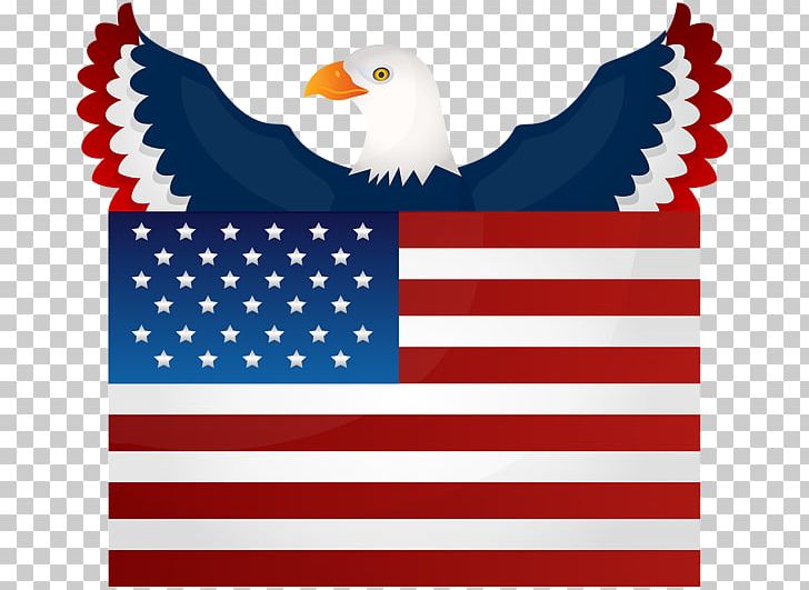 Flag Of The United States Bald Eagle National Flag PNG, Clipart, American Flag, Area, Bald Eagle, Beak, Eagle Free PNG Download