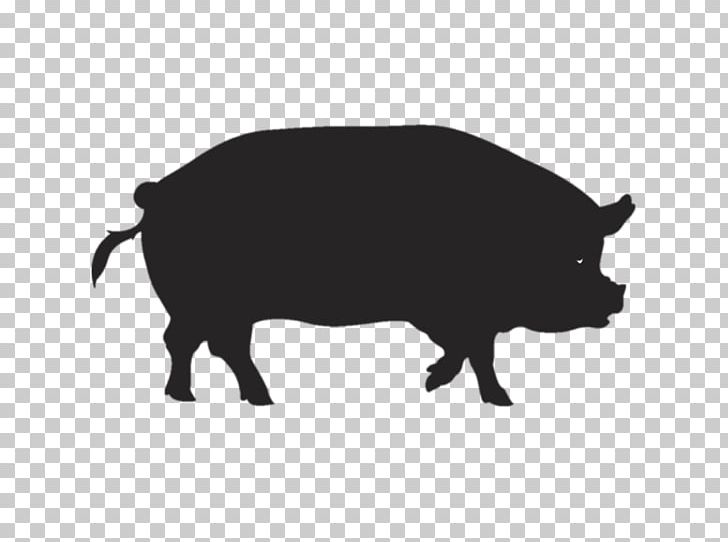 Pig Kunekune Spare Ribs Barbecue PNG, Clipart, Animals, Barbecue, Black And White, Cattle Like Mammal, Cut Of Pork Free PNG Download