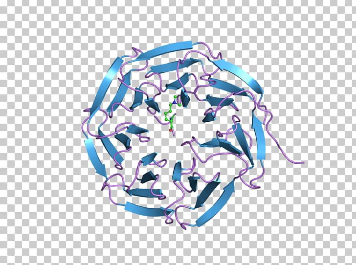 WDR5 WD40 Repeat Protein Family Gene PNG, Clipart, Art, Blue, Electric Blue, Gene, Histone Free PNG Download