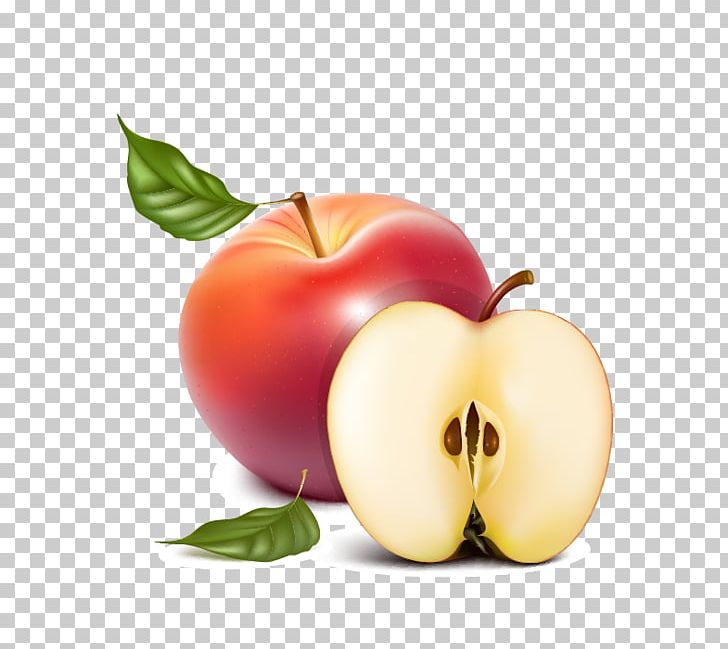Fruit Peach Apple Apricot PNG, Clipart, Apple Fruit, Apple Logo, Apples, Apple Tree, Apple Vector Free PNG Download