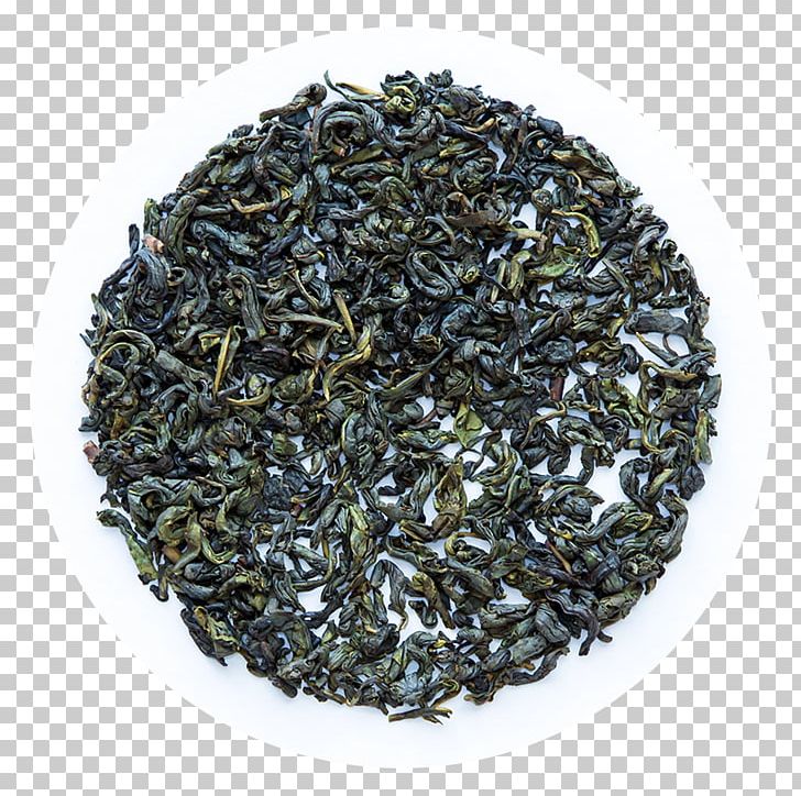 Green Tea Oolong Lapsang Souchong Nilgiri Tea PNG, Clipart, Assam Tea, Bancha, Biluochun, Blueberry, Camellia Sinensis Free PNG Download