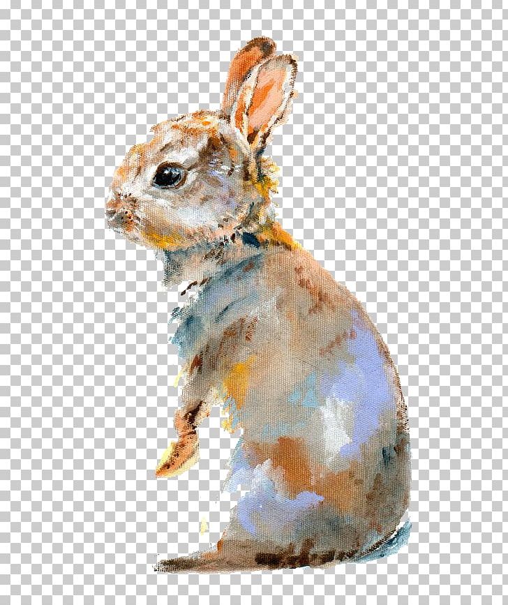 Lionhead Rabbit Domestic Rabbit Bugs Bunny Watercolor Painting PNG, Clipart, Animal, Animals, Art, Artist, Cartoon Free PNG Download