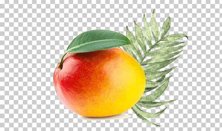 Organic Food Mango Arts And Crafts A Secondary Superfood PNG, Clipart, Apple, Arts And Crafts, Diet, Diet Food, Dried Free PNG Download