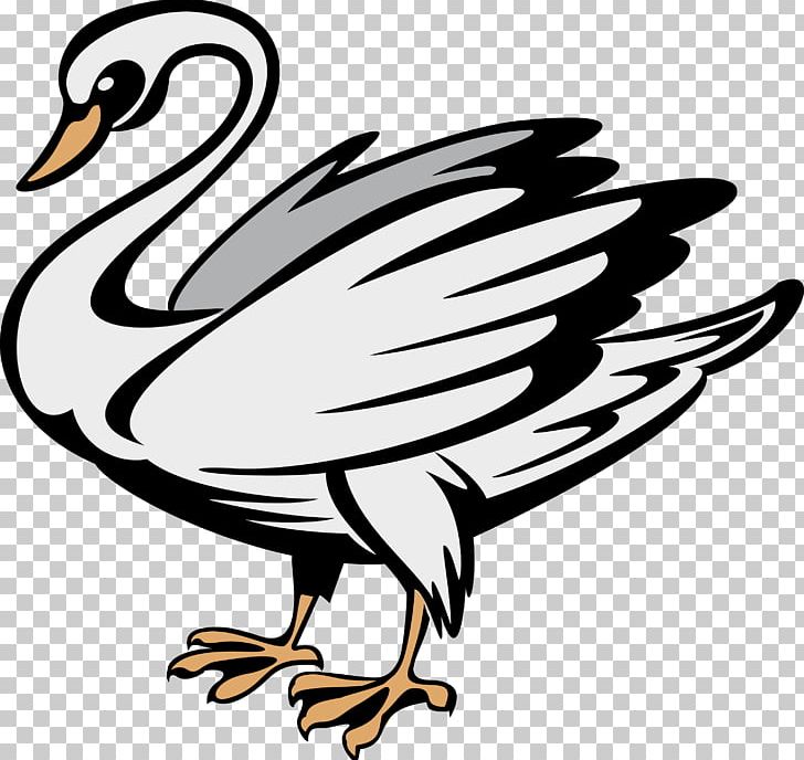 Duck Coat Of Arms Heraldry Symbol Black Swan PNG, Clipart, About, Animals,  Artwork, Beak, Bird Free