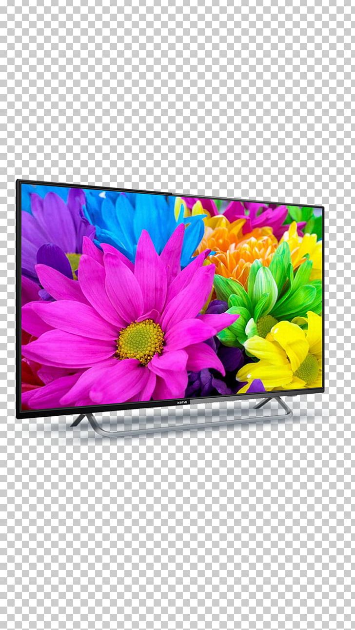 LED-backlit LCD High-definition Television 1080p Smart TV PNG, Clipart, 4k Resolution, 43 Inches, 1080p, Chrysanths, Cut Flowers Free PNG Download