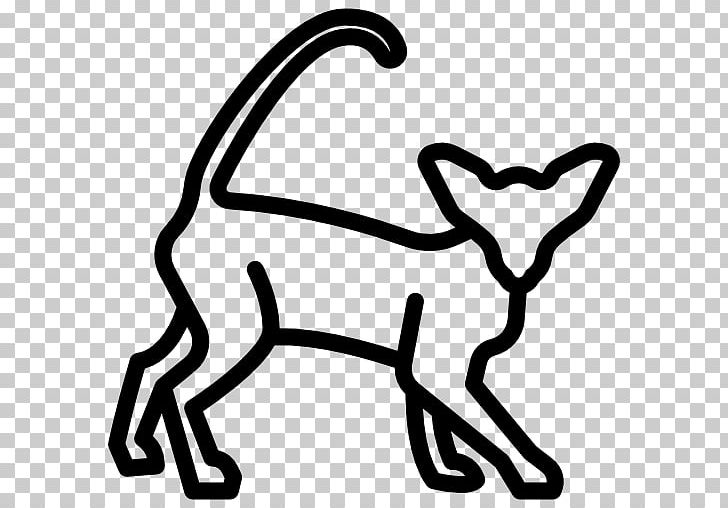 Line White Animal PNG, Clipart, Animal, Area, Art, Black And White, Cat Free PNG Download