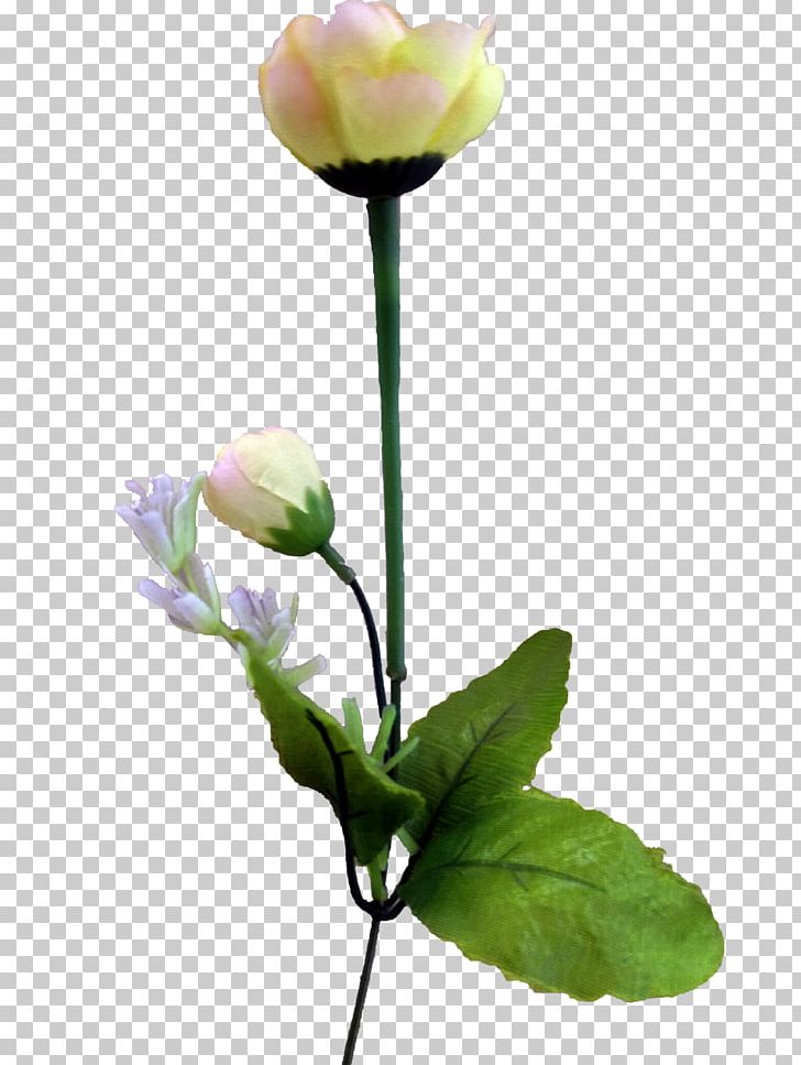 Tulip Flower Computer File PNG, Clipart, Artificial Flower, Bud, Cut Flowers, Download, Encapsulated Postscript Free PNG Download