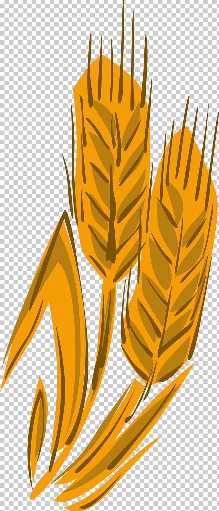 Wheat PNG, Clipart, Cartoon, Cartoon Wheat, Cereal, Claw, Commodity Free PNG Download