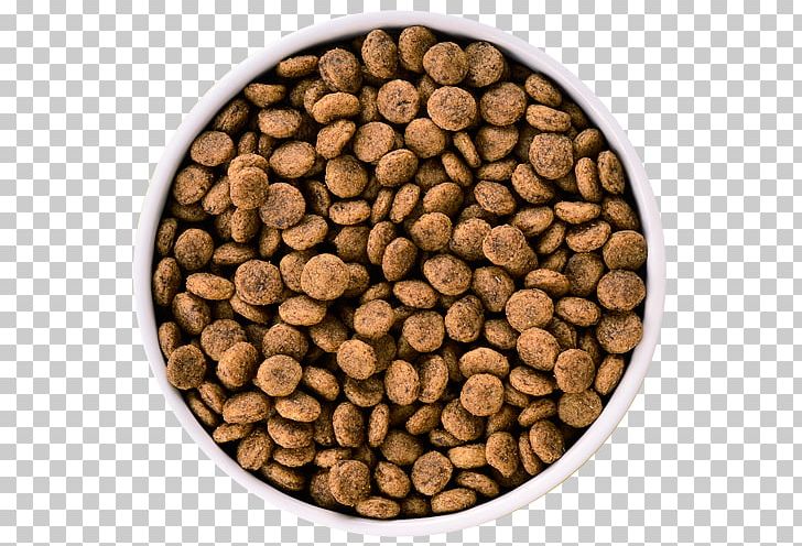 Dog Food Online Shopping Product Fodder PNG, Clipart,  Free PNG Download