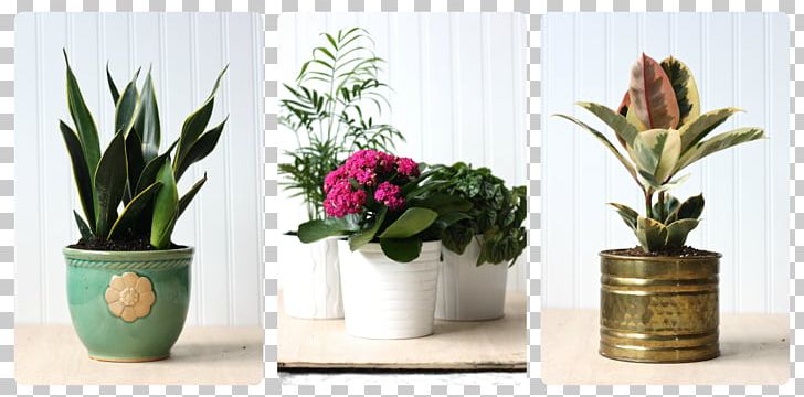 Flowerpot Houseplant Cut Flowers PNG, Clipart, Artificial Flower, Child, Cut Flowers, Flora, Floral Design Free PNG Download