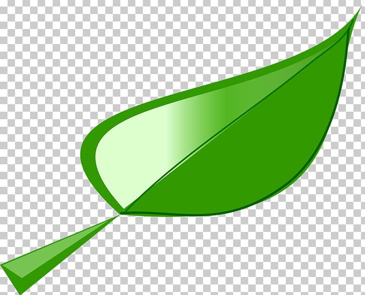 Leaf PNG, Clipart, Angle, Autumn Leaf Color, Branch, Cartoon, Grass Free PNG Download