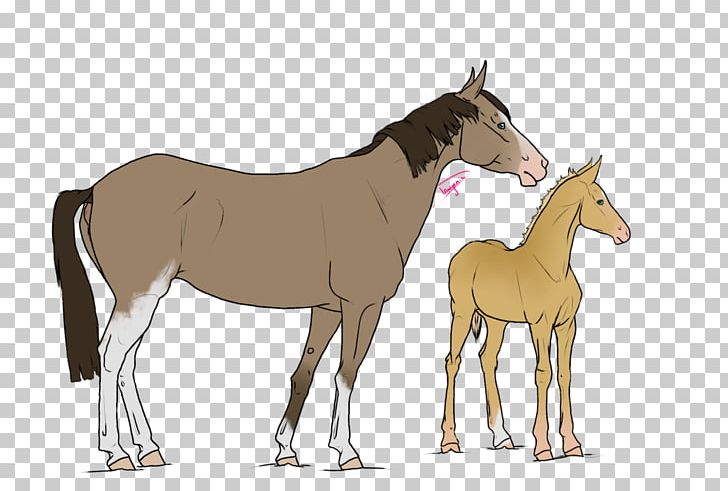 Mule Foal Stallion Mare Colt PNG, Clipart, Bridle, Colt, Donkey, Foal, Halter Free PNG Download