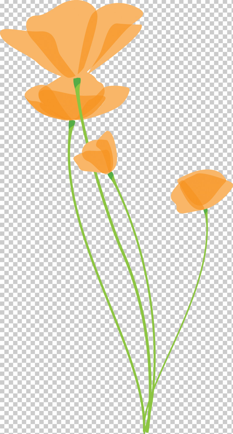 Poppy Flower PNG, Clipart, Cut Flowers, Flower, Leaf, Orange, Pedicel Free PNG Download