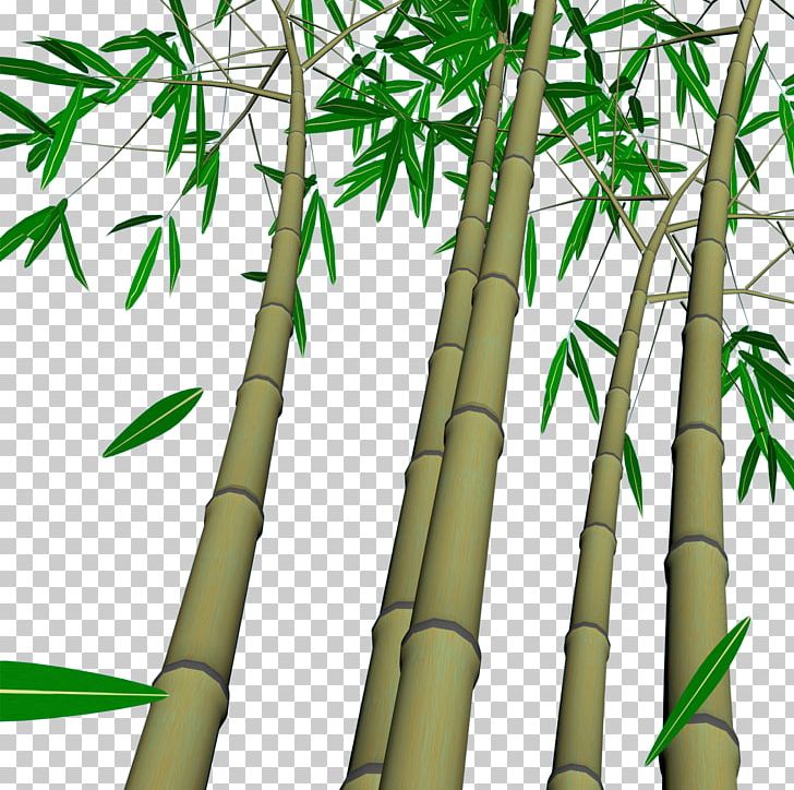 Bamboo Wall PNG, Clipart, Bam, Bamboo Frame, Bamboo House, Bamboo Leaf, Bamboo Leaves Free PNG Download