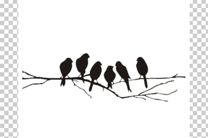Bird Branch Euclidean PNG, Clipart, Beak, Bird, Black And White, Branch, Drawing Free PNG Download