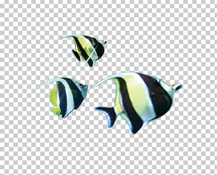 Computer Icons Clownfish PNG, Clipart, Animals, Aquarium Fish, Aquatic, Aquatic Product, Clownfish Free PNG Download