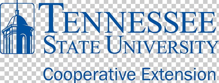 East Tennessee State University Historically Black Colleges And Universities Academic Degree PNG, Clipart, Area, Banner, Blue, College, East Tennessee State University Free PNG Download
