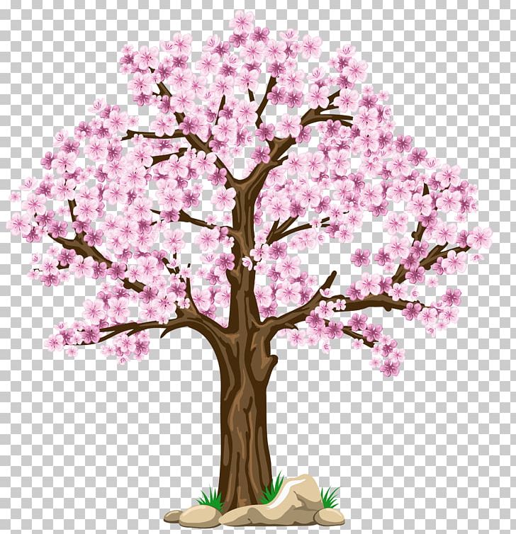 cherry blossom leaf clip art