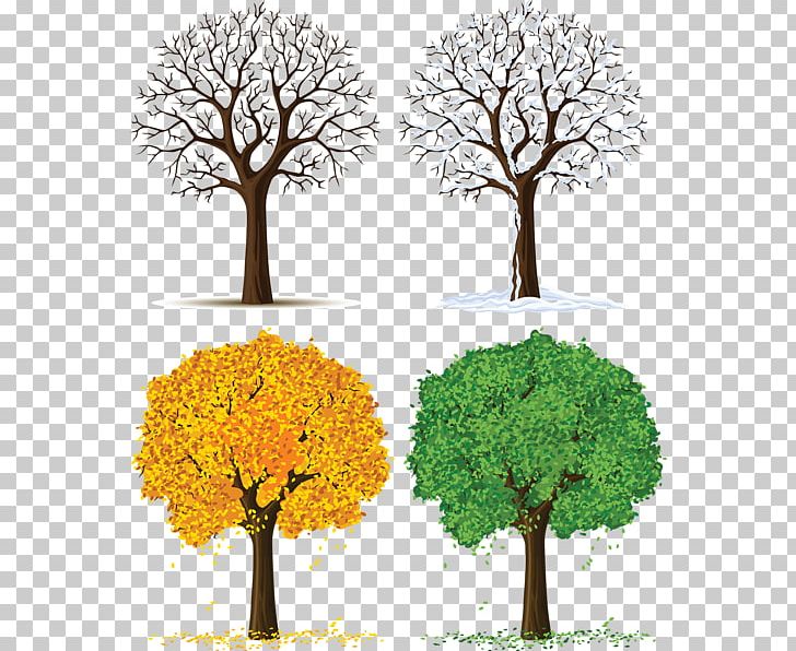 Tree Season PNG, Clipart, Autumn, Branch, Computer Icons, Encapsulated Postscript, Forest Free PNG Download