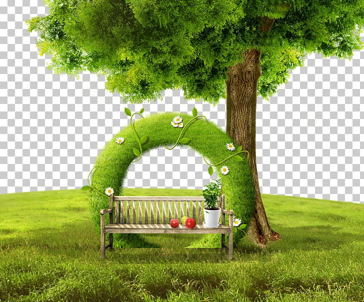 Tree PNG, Clipart, Art, Autumn Tree, Chair, Christmas Tree, Color Free PNG Download