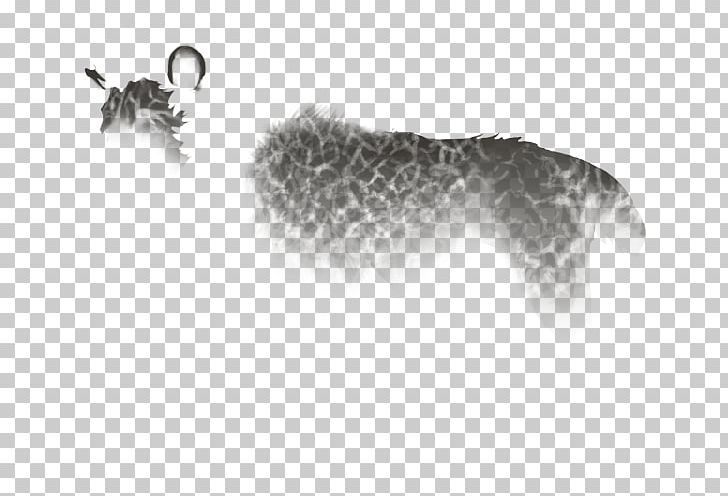 Cat Mammal Carnivora Animal Dog PNG, Clipart, Animal, Animals, Big Cat, Big Cats, Black And White Free PNG Download